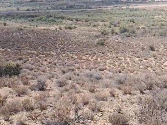 25 ha Land available in Willowmore