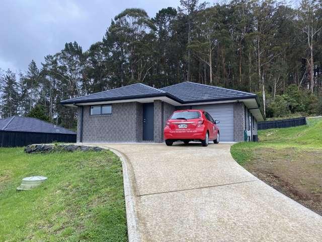 25 Raewyn Street, Morningside, Whangārei