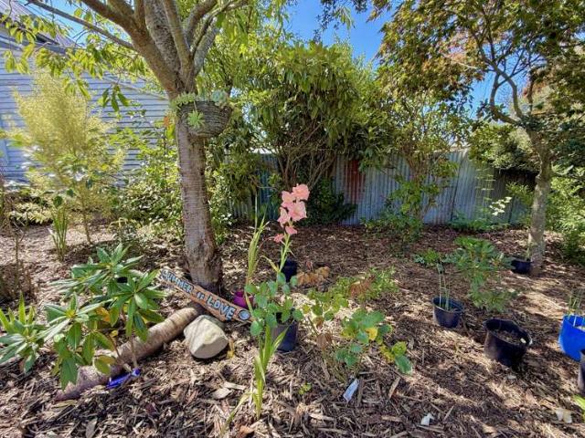 25 Rhodes Street, Waimate