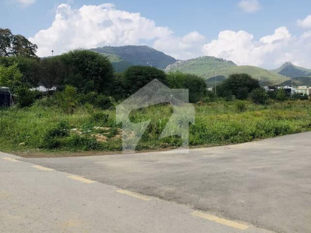 25x50 5 marla Plot Available For Sale In D 12