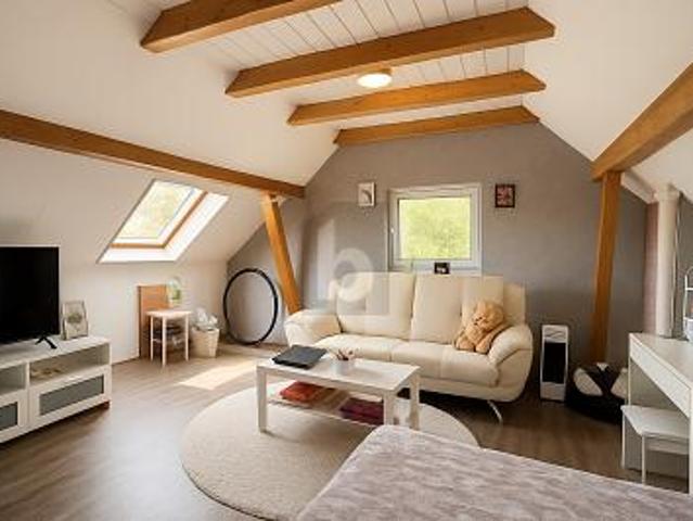 260 M² WOHNFLÄCHE, 7 ZIMMER, WERKSTATT INKLUSIVE