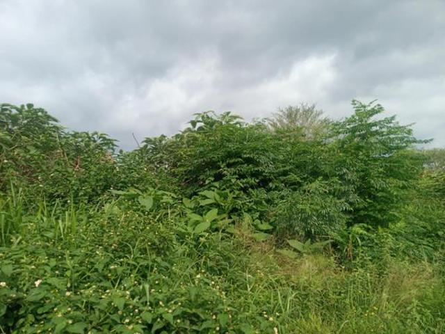 260 m² Land available in Kamagugu