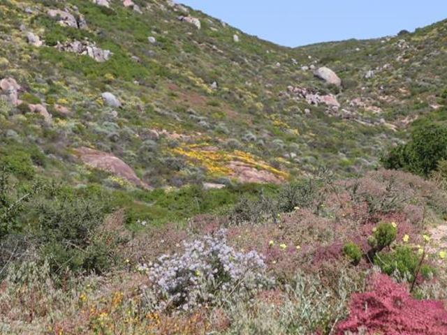 260 m² Land available in St Helena Views