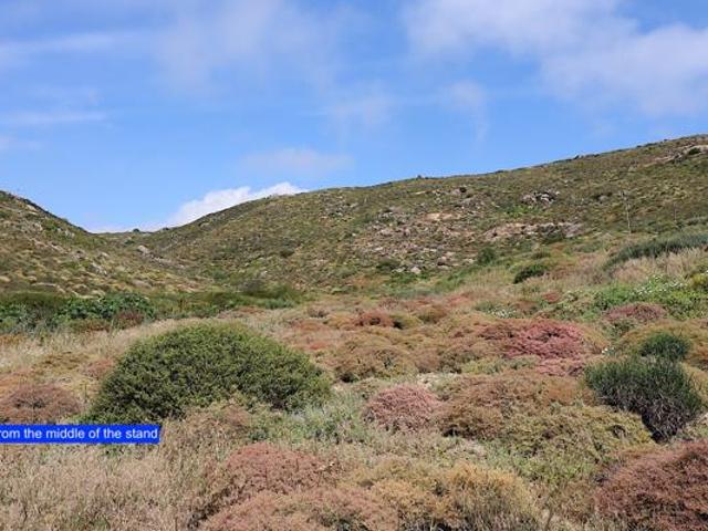 260 m² Land available in Steenbergs Cove