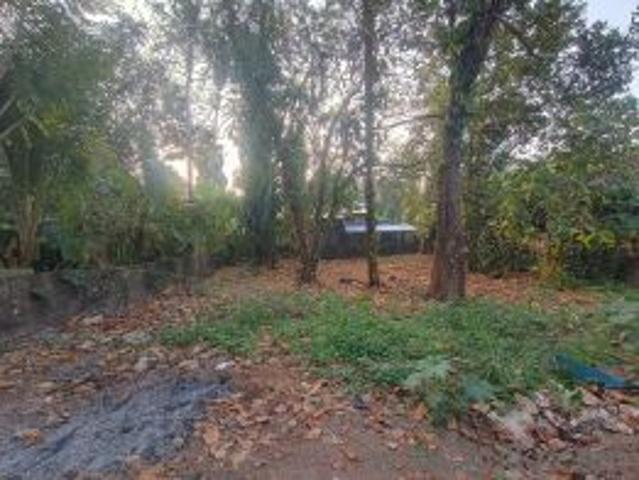 2620 Sq. ft Plot for Sale in Palachuvadu, Kochi