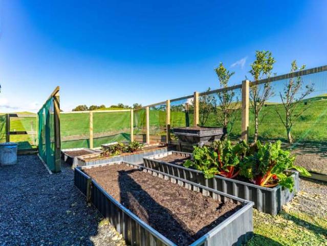 264 Bee Bush Road, Dargaville, Kaipara