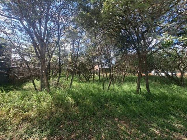 264 m² Land available in Bela Warmbaths