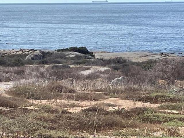 264 m² Land available in St Helena Views