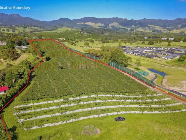 2670a State Highway 2, Katikati, Western Bay Of Plenty For S.