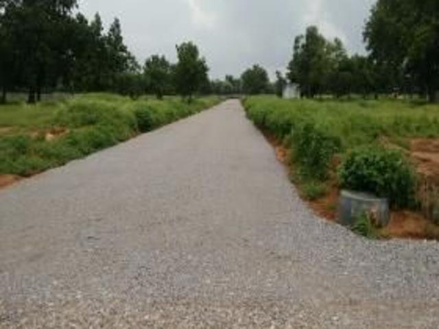 267 Sq Yd Residential Plot In SSD\ LN,kollur, Kollur, Hyderabad