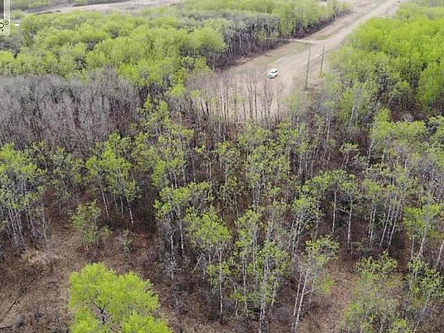 26 450031 73 Range Rural Wainwright No. 61, M.d. Of, Alberta