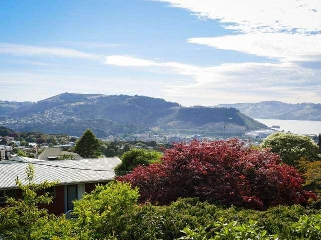 26 Charlotte Street, Roslyn, Dunedin City