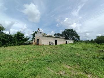Rancho en venta en San Antonio Camara, Temax, Yucatán