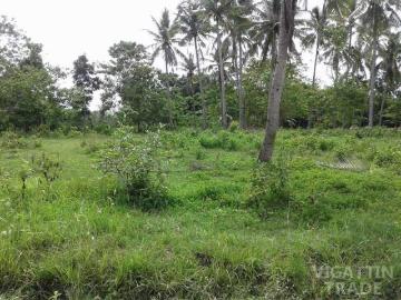 2700 sqm Commercial lot san lorenzo Guimaras