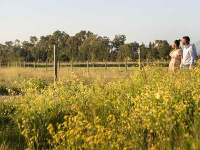 277 m² Land available in Paarl Valleij Lifestyle Estate