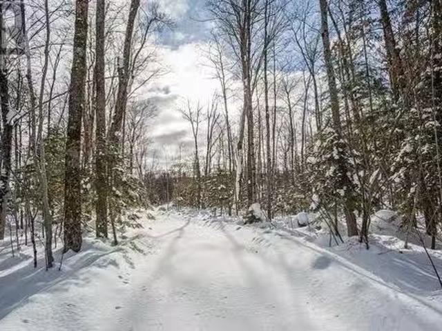 279 Finns Bay Rd N, Echo Bay, ON, P0S 1C0 vacant land for sa.
