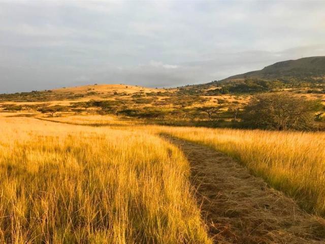 286 ha Farm in Vryheid
