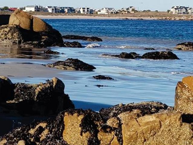 287 m² Land available in Steenbergs Cove