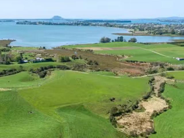 288 Pahoia Road, Whakamarama, Western Bay Of Plenty