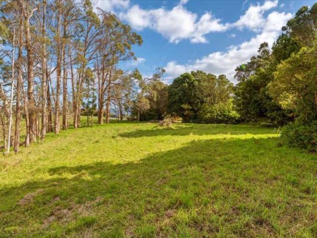 288A Pahoia Road, Whakamarama, Western Bay Of Plenty