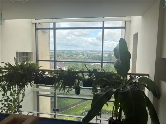289,000 | Apartment 44, Hillview, Mount Talbot, Fox & Geese, Co. Dublin Forbes Property 5000 MyHome. Ie Residential