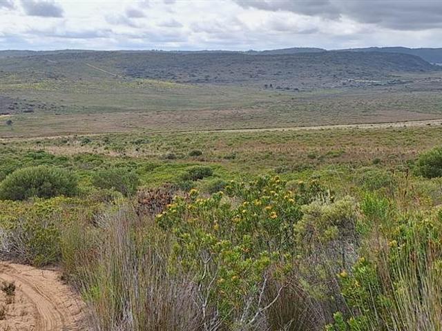 289 ha Farm in Stilbaai Oos