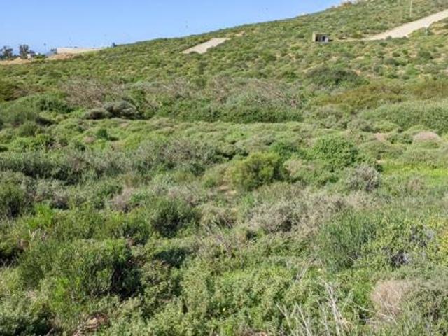 289 m² Land available in St Helena Views
