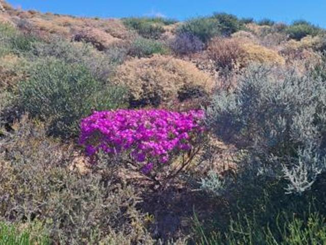 289 m² Land available in St Helena Views