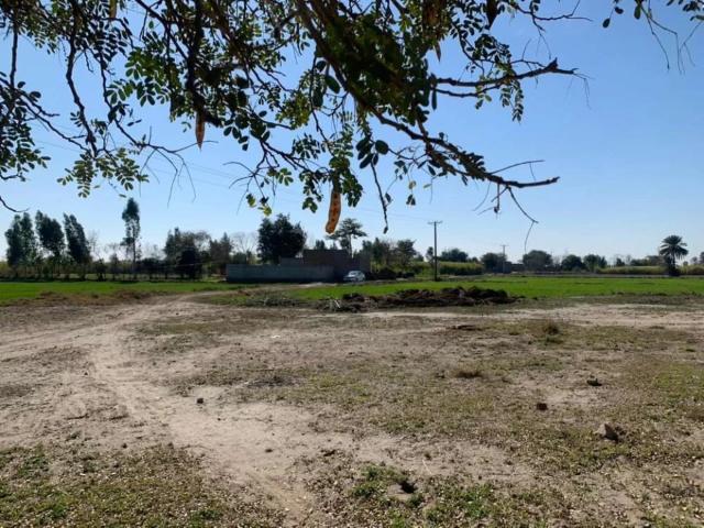 28 Acre Agriculture land for sale in Sargodha ID 03695