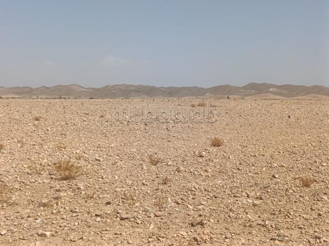 28 ha titré avec VNA