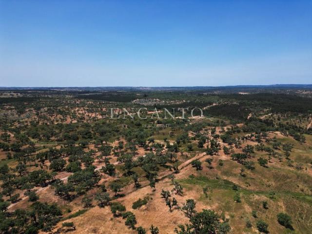 28 hectares de montado de sobro na região de Santiago do Cac. m² São Domingos e Vale de Água