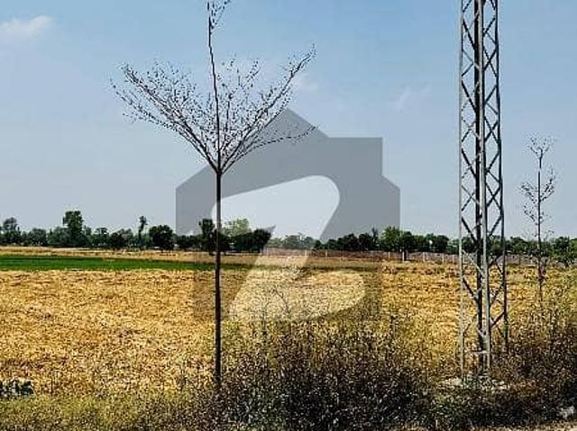 28 Kanal Land Moza Lakhoki Bedian Road Lahore
