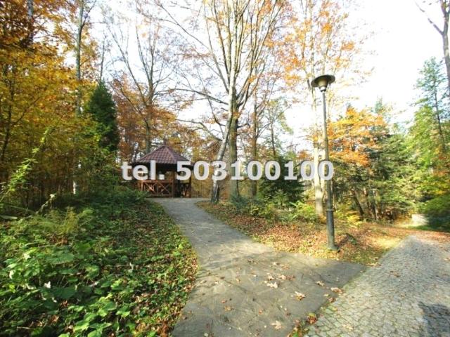 290 m², Krynica Zdrój