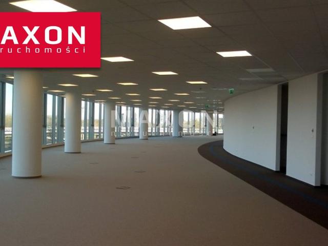 290 m² nowoczesnych biur z dużymi przeszkleniami