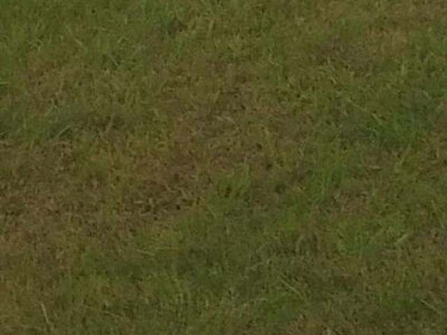 291 Sq.Yd. Plot in Thapar Nagar Ludhiana Listing ID: #10364