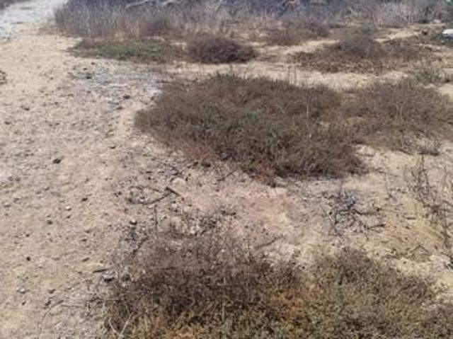 292 m² Land available in St Helena Views