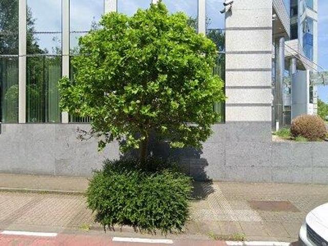 293 m2 office space for sale in Brussels Sint Lambrechts Woluwe