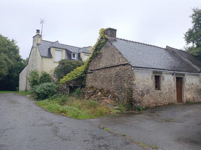 29520 Laz maison sans voisin, autonome en eau, bois de 1 ha, vie de plain pied, dépendances