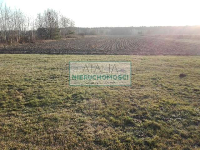 29623 3 000 m², Pruszków