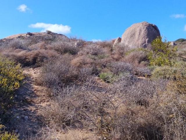296 m² Land available in St Helena Views