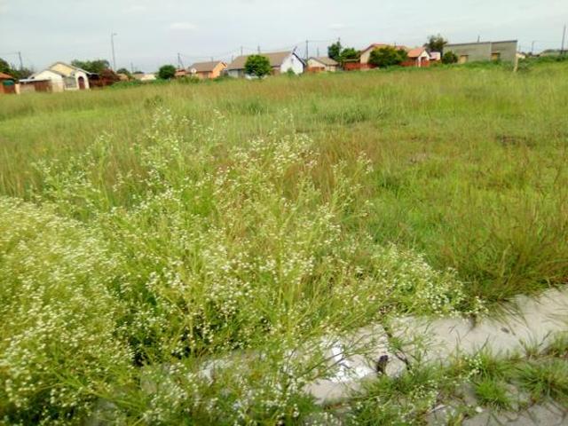 297 m² Land available in Boitekong