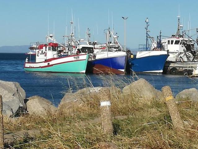 297 m² Land available in Steenbergs Cove