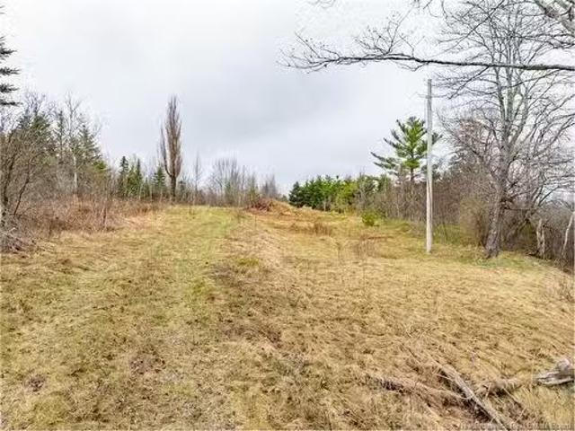 2997 Route 3 Hwy, Harvey, NB, E6K 1J1 vacant land for sale.