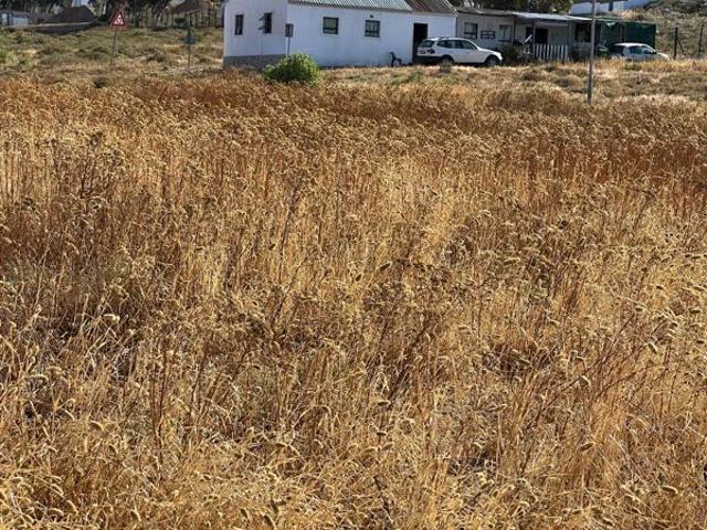 299 m² Land available in St Helena Views