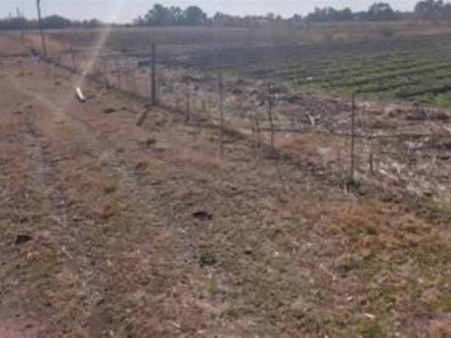 29.8 ha Farm in Koppies