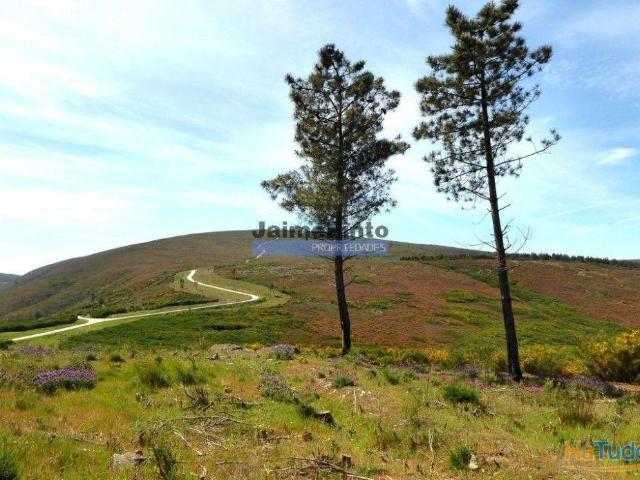 29.000m2 de terreno rústico p/ plantações novas. Portugal, Sabrosa, Douro. | 26063557128