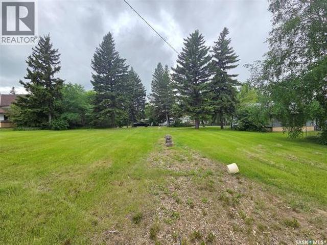 29 Newcombe Street, Manor, SK, S0C 1R0 vacant land for sale | Listing ID SK039322 | Royal LePage
