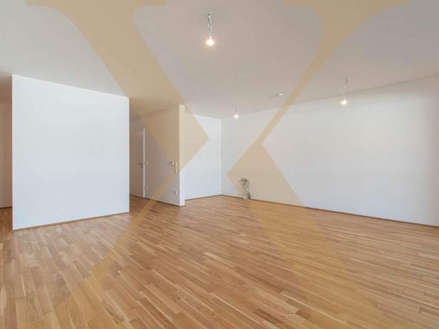 2 Monate Provisionsfrei! 3 Zimmer Wohnung mit großzügigem Balkon/Loggia in Linz/Bindermichl zu verkaufen!