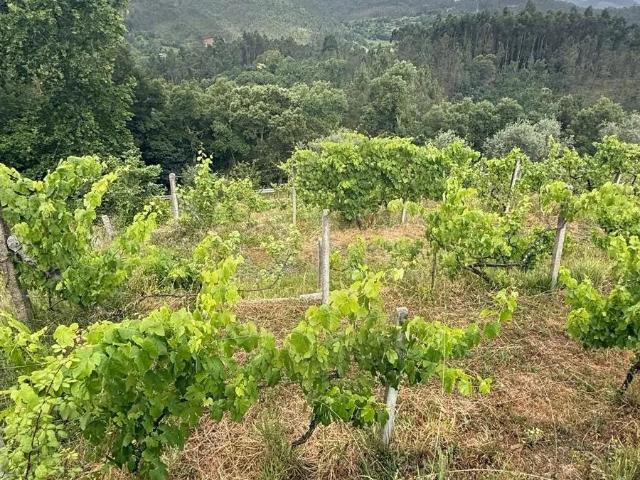 2 Moradias á venda em Castelo de Paiva 149900€