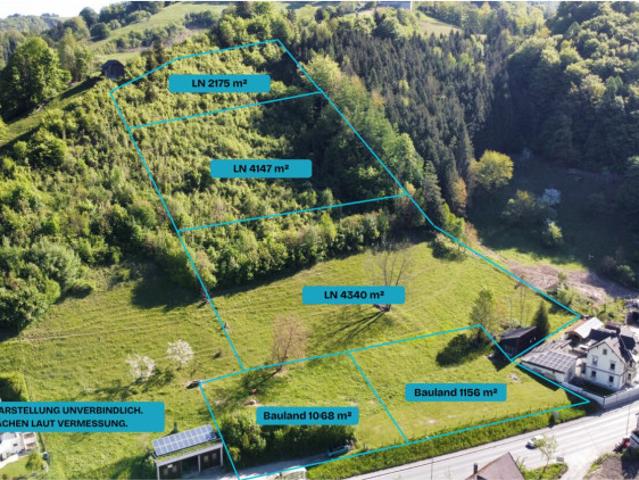 2 aufgeschlossene Bauparzellen + 10.662 m² Landwirtschaft – Dein eigenes Stück Freiheit in Losenstein